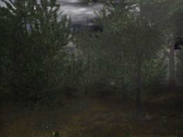bg1.jpg